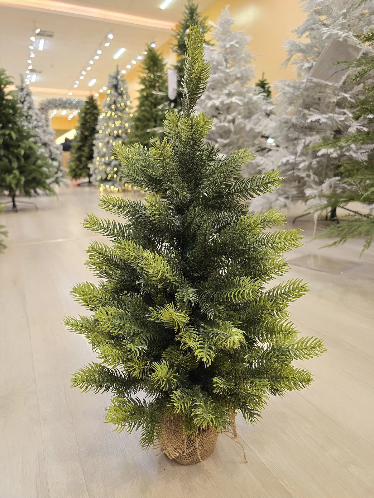 Árvore de Natal Pinheiro Realista 60cm 68 Galhos