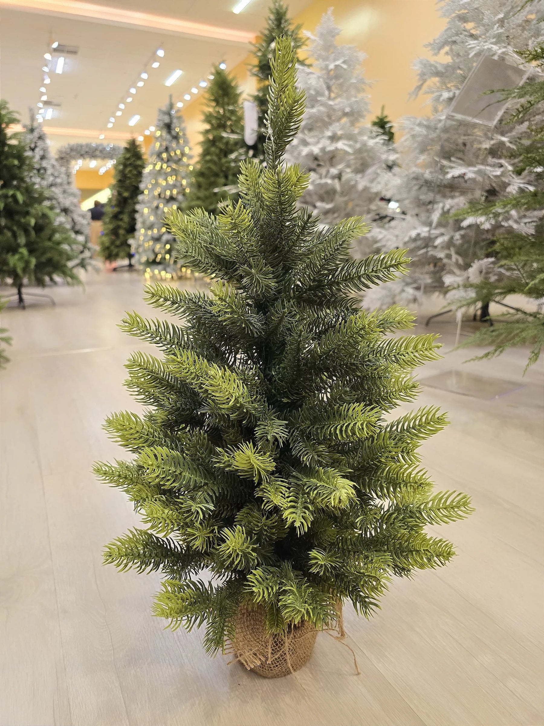 Árvore de Natal Pinheiro Realista 60cm 68 Galhos